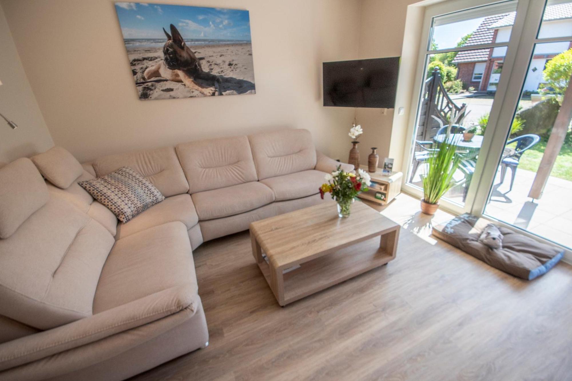 Hund Und Apartment